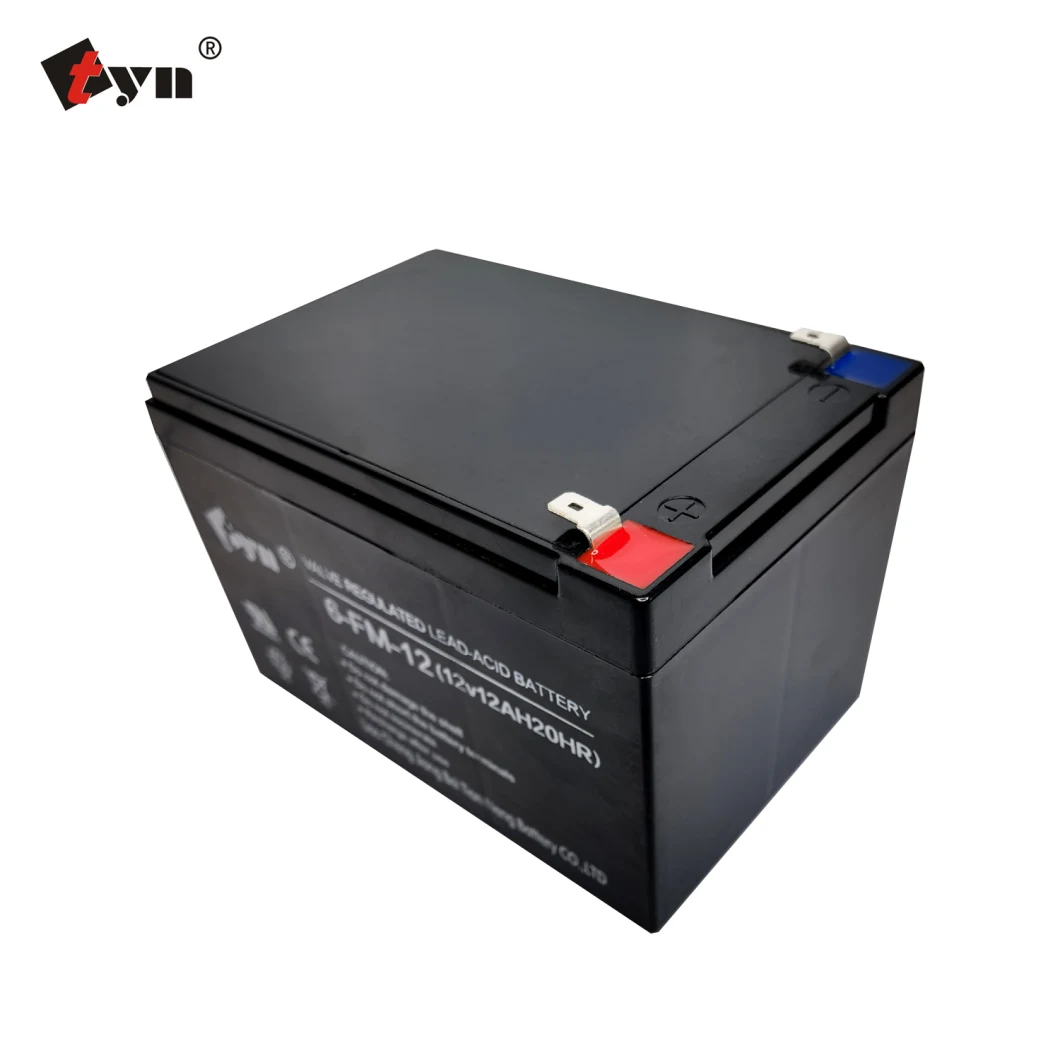 12V12ah 14ah, 36V12/14ah 48V12/14ah 60V12/14ah Electric Tricycle Scooter Bicycle Bicycle Motorcycle Vehicle EV Tool Car Power Storage Battery