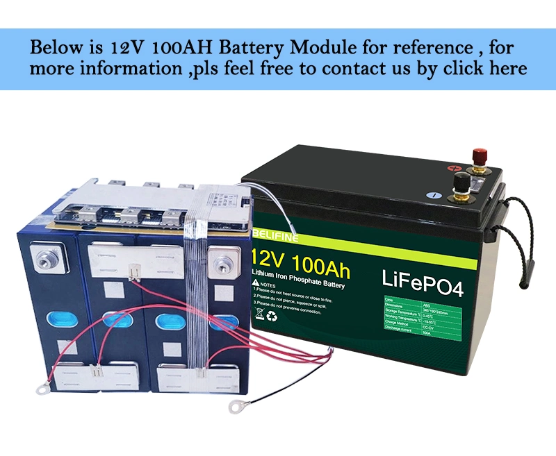 LiFePO4 Lithium Iron Phosphate Battery Pack 12V 100ah with BMS for Solar System RV Electric Car Scooter Motorcycle Boat