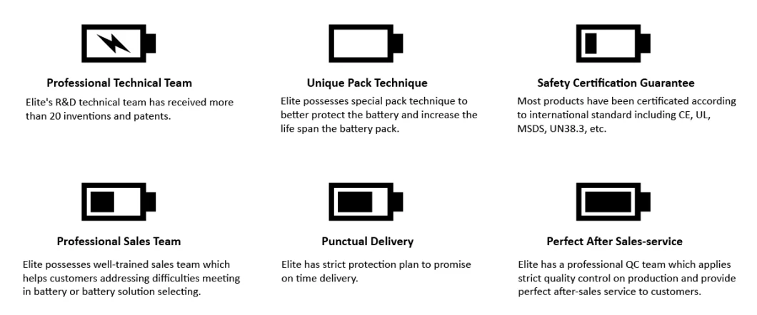 Elite OEM Lithium Ion Battery Pack 12V 12.8V 100ah 200ah 300ah 400ah LiFePO4 Rechargeable Solar Lithium Batteries for RV/EV/Yacht/Caravan/Ess