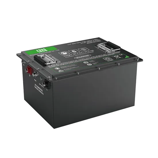 LFP 48V 100Ah 105Ah 리튬 이온 골프 카트 배터리