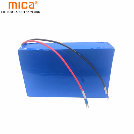 전동 공구, 전기 자전거, 자동차용 LiFePO4 36V 20ah 배터리