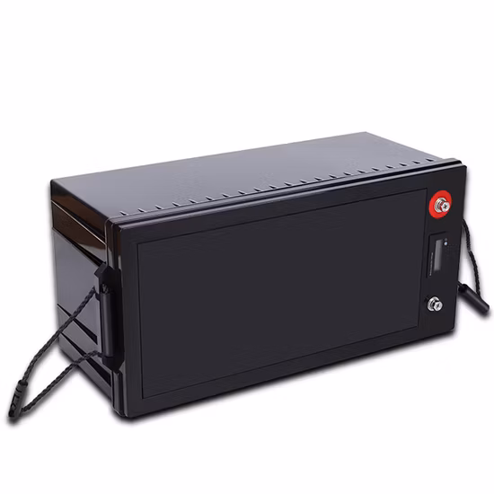 12V 24V 리튬 배터리 100ah 200ah 300ah 50ah 12V/24V LiFePO4 배터리 zum Solarfabrikpreis
