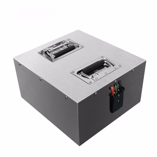 Agv AMR 지게차용 지능형 BMS를 갖춘 맞춤형 리튬 배터리